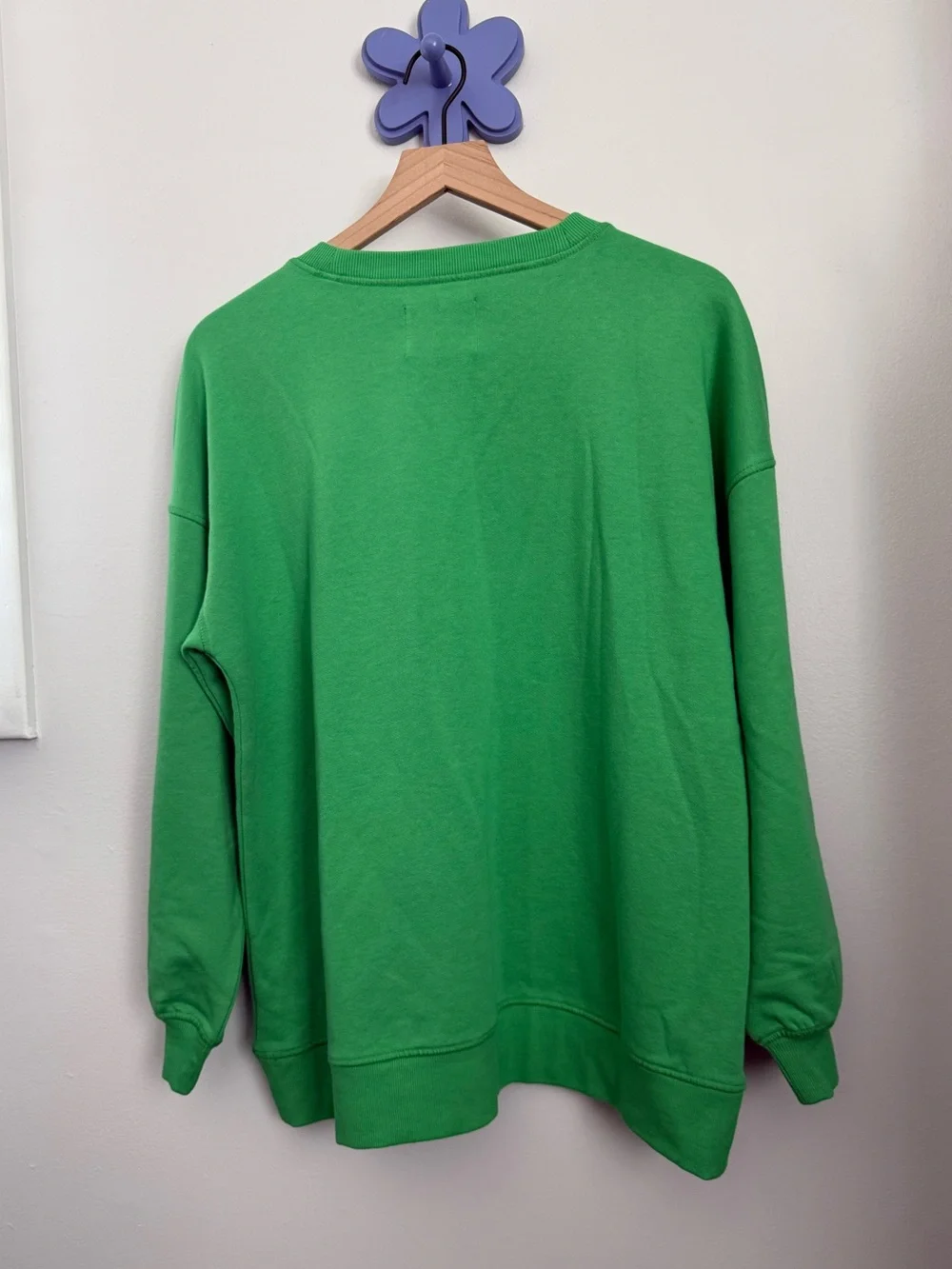 Anthropologie Celandine XXS/XS NEW Crew-Neck Graphic Sweatshirt Green Oversized